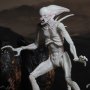 Neomorph