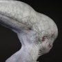 Neomorph Head