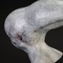 Neomorph Head