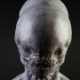 Neomorph Head