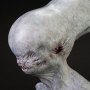 Neomorph Head