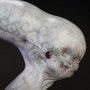 Neomorph Head