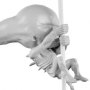 Neomorph Scaler
