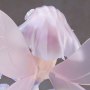 Neptune Little Purple