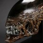 Alien Resurrection: New Warrior Head