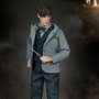 Newt Scamander