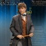 Newt Scamander