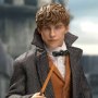 Newt Scamander