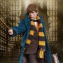 Newt Scamander Grey Coat