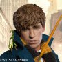 Newt Scamander Grey Coat