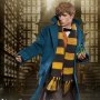 Newt Scamander