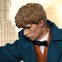 Newt Scamander