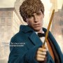 Newt Scamander