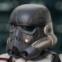 Night Trooper