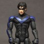 Nightwing (realita)