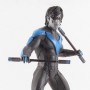 Nightwing (realita)