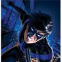 DC Comics: Nightwing Art Print (Warren Louw)