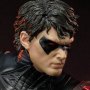 Nightwing Red