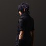 Noctis Lucis Caelum