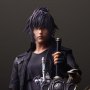 Noctis Lucis Caelum