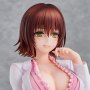 Nurse Series Ryoko Mikado School Nurse