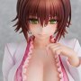 Nurse Series Ryoko Mikado School Nurse