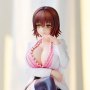 Nurse Series Ryoko Mikado School Nurse