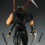 Ryu Hayabusa