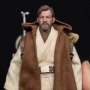 Obi-Wan Kenobi (Hermit Master)