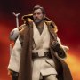 Obi-Wan Kenobi (Hermit Master)