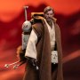 Obi-Wan Kenobi (Hermit Master)