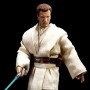 Obi-Wan Kenobi Padawan (Sideshow) (studio)