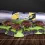 Origins Diorama