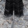 Orthanc