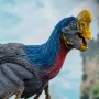 Oviraptor Wonders Of Wild Series