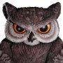 Dungeons & Dragons: Owlbear Baby