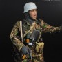 Panzergrenadier Wiking Division (studio)