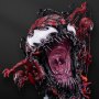Maximum Carnage