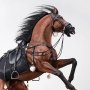Pegasus Meteor Horse Brown DX