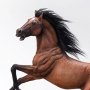 Pegasus Meteor Horse Brown DX