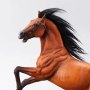 Pegasus Meteor Horse Chestnut DX