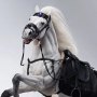 Pegasus Meteor Horse White