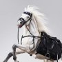 Pegasus Meteor Horse White DX