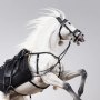 Pegasus Meteor Horse White DX