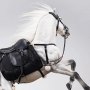 Pegasus Meteor Horse White DX