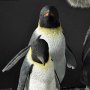 Penguin (Jason Fabok)