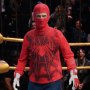 Spider-Man: Peter Parker (Guarder A)
