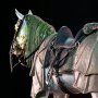 Phlogeus