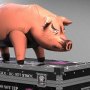 Pink Floyd: Pig On Tour