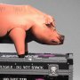 Pig On Tour